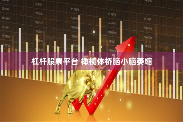 杠杆股票平台 橄榄体桥脑小脑萎缩